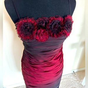 Adrianna Papell Boutique Ombré Dress